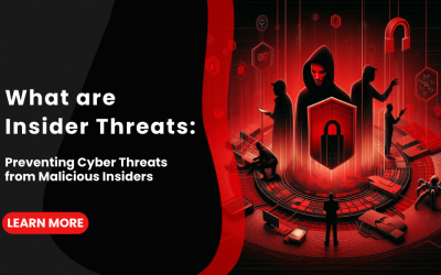 What are Insider Threats: Preventing Cyber Threats from Malicious Insiders