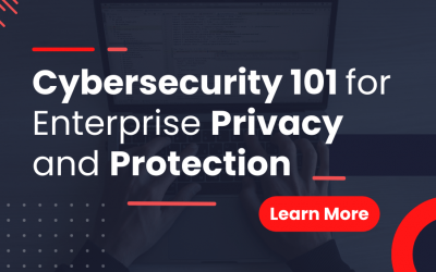 Cybersecurity 101 for Enterprise Privacy and Protection