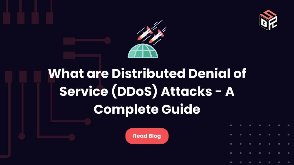 What are DDoS Attacks - A Complete Guide