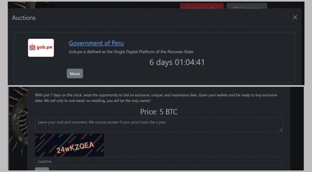 Rhysida Ransomware Gang Claims Cyberattack on Peruvian Government Systems