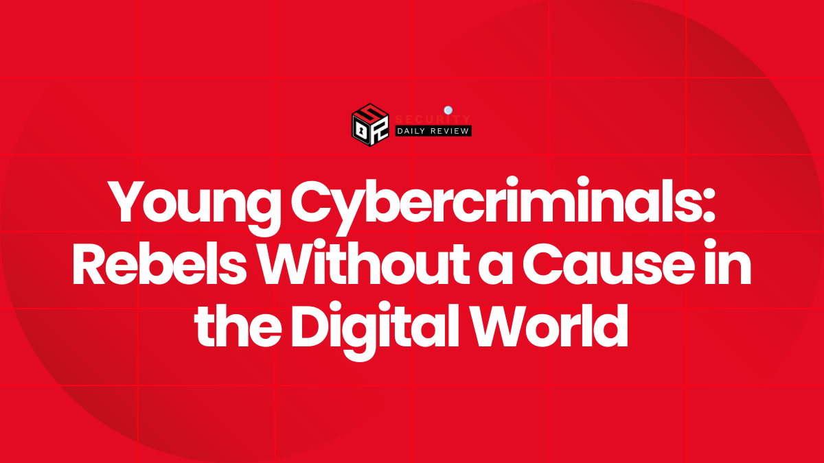 Young Cybercriminals Rebels Without a Cause in the Digital World